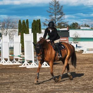 Meet your Posher, Annabelle